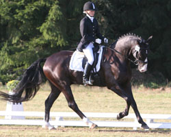 Jenny Eggers aus Rehna hat mit High Life das diesjährige Finale zur Dressur-Chance in Redefin gewonnen. Fotos: Jutta Wego